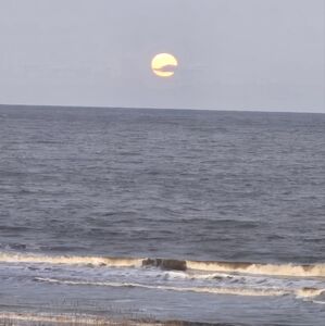 Meet your Posher, Kerri